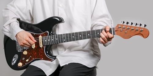 Eris. Nestia べっ甲ブラック エレキギター ローステッドメイプルネック SSHピックアップ コイルタップ対応 エリス 中間 画像