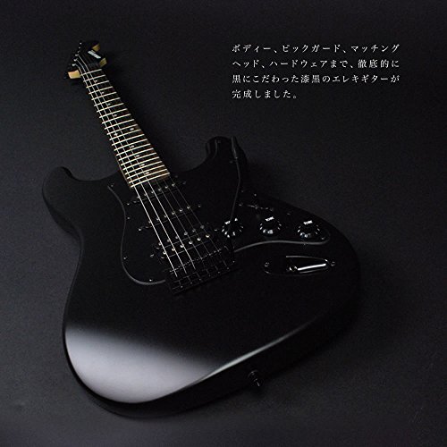 SELDER セルダー エレキギター ストラトキャスタータイプ サクラ楽器オリジナル STC-04/BB 初心者入門ベーシックセットの特徴・詳細 画像