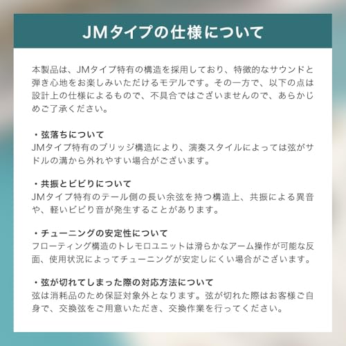 SELDER セルダー エレキギター JMタイプ JM-26M/ES (ソフトケース、シールドケーブル付属) 最後 画像