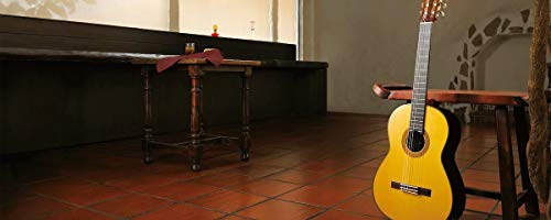 ヤマハ(YAMAHA) クラシックギター CG102の詳細・まとめ 画像