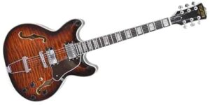 PLAYTECH (プレイテック) セミアコースティックギター トランスバースト 1