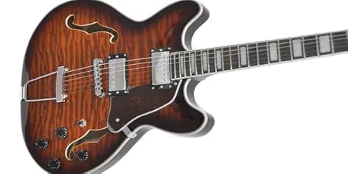 PLAYTECH (プレイテック) セミアコースティックギター トランスバーストの詳細・まとめ 画像