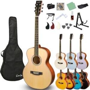 Eris. Aproa NTW アコースティックギター初心者12点セット ナチュラルウッド スプルース 牛骨ナット 628mmスケール アコギ エリス 1