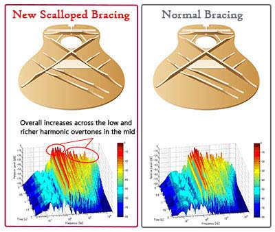 ヤマハ YAMAHA アコースティックギター FG SERIES ブルー FG820SBの特徴・詳細 画像