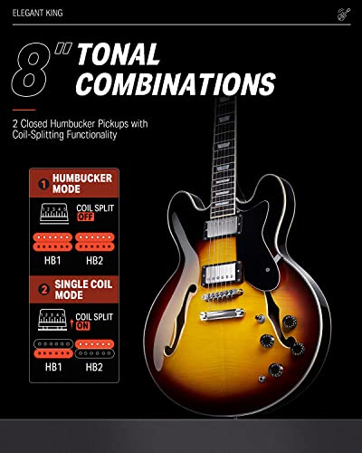 Donner セミアコギター エレキギター セミアコースティックギター セミホロウボディ ダブルカッタウェイ トラ色 DJP-1000Bの特徴・詳細 画像