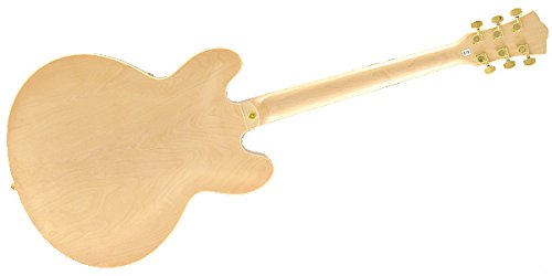 【国内正規品】 PLAYTECH プレイテック セミアコースティックギター SA500 Flame Naturalの特徴・詳細 画像