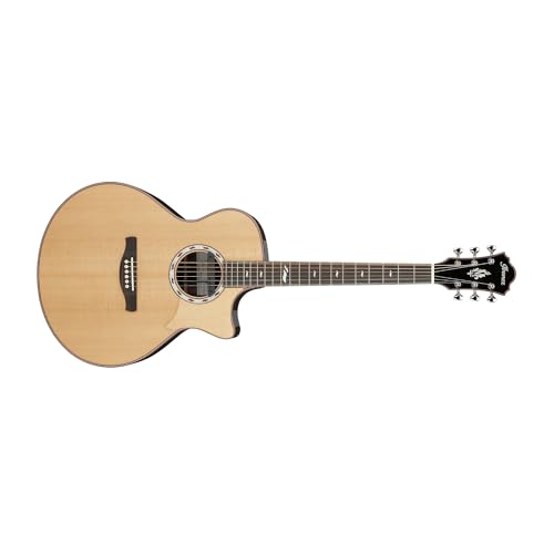 Ibanez MRC10-NT Marcin Patrzalekモデル エレクトリックアコースティックギターの特徴・詳細 画像