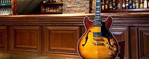 ヤマハ エレキギター セミアコースティックギター SA-2200 BSの特徴・詳細 画像