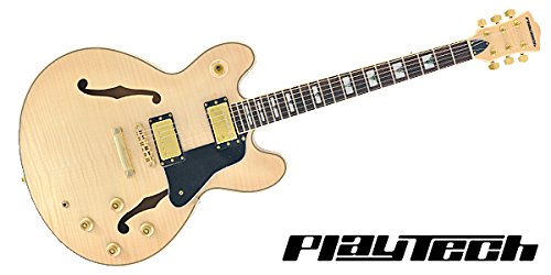 【国内正規品】 PLAYTECH プレイテック セミアコースティックギター SA500 Flame Naturalの外観・全体像 画像