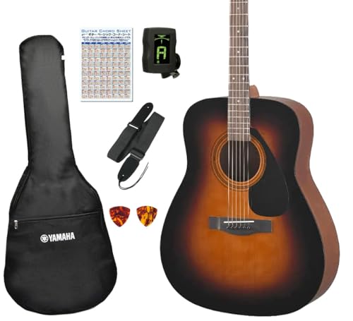 ヤマハ ギター アコースティックギター 初心者 YAMAHA F315D TBS スタート 6点セット [98765] 【検品後発送で安心】の外観・全体像 画像