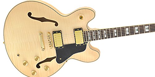 【国内正規品】 PLAYTECH プレイテック セミアコースティックギター SA500 Flame Naturalの詳細・まとめ 画像