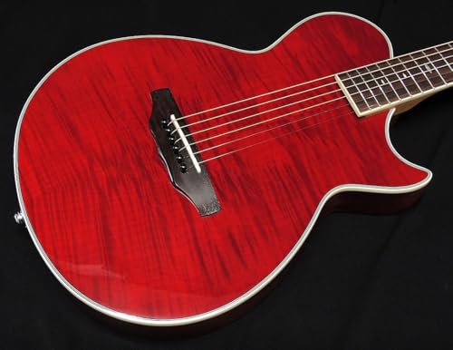 ARIA APE-100 SR 薄胴 エレアコ エレクトリック アコースティックギター サイドサウンドホール Fishman シースルー レッド アウトレットの詳細・まとめ 画像