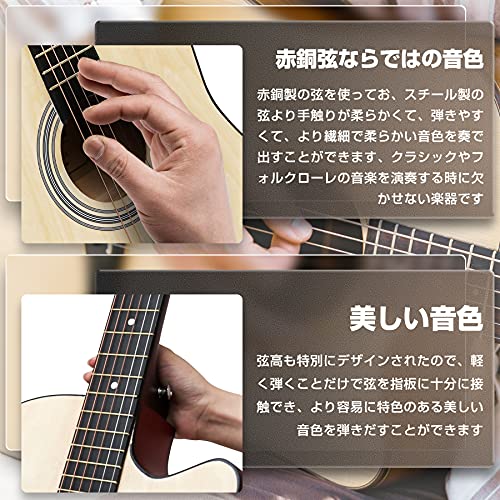 アコースティックギター 17点セット 初心者入門セット 練習ギター 初心者 ソフトケース付き guitar 38インチ Bの特徴・詳細 画像