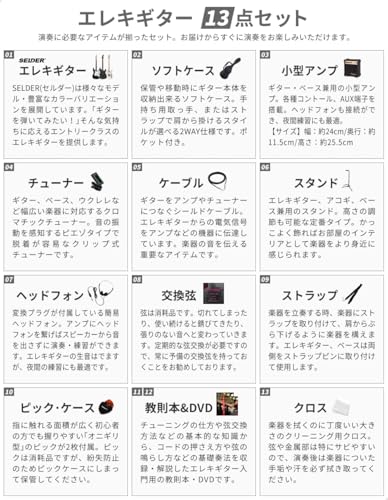 SELDER セルダー エレキギター ストラトキャスタータイプ サクラ楽器オリジナル ST-16M/LPK 初心者入門13点セットの詳細・まとめ 画像