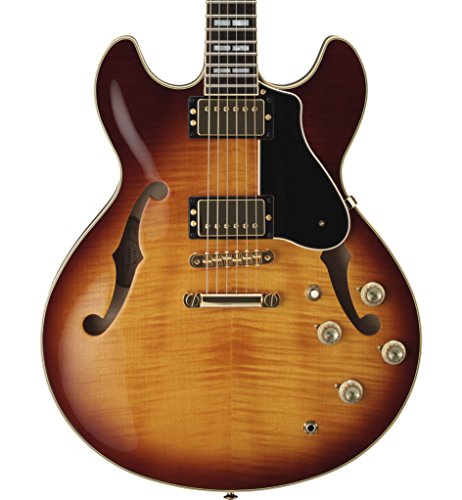 ヤマハ エレキギター セミアコースティックギター SA-2200 BSの特徴・詳細 画像