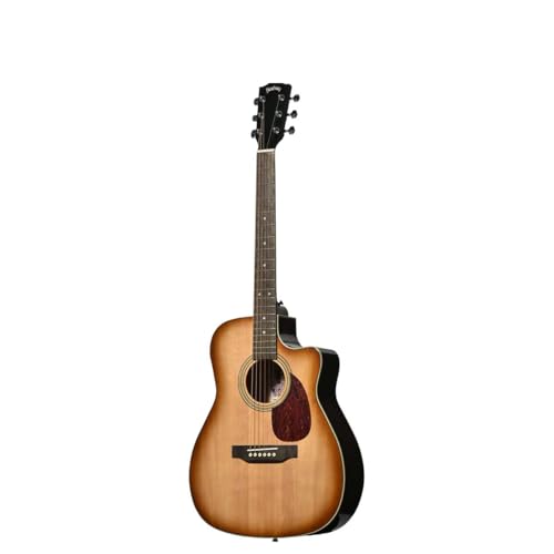 HEADWAY ヘッドウェイ HC-Essential ASB アコースティックギターの外観・全体像 画像