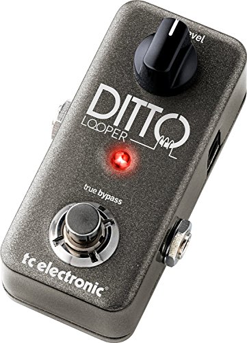 tc electronic 1ボタン ルーパー DITTO LOOPERの外観・全体像 画像