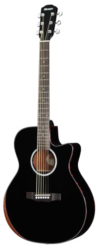 Morris R-1 BLK コンター加工 モーリス Morris Performers Edition R Series アコースティックギター ブラックの外観・全体像 画像